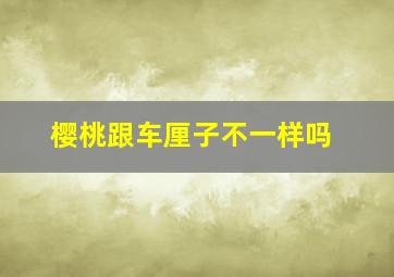 樱桃跟车厘子不一样吗