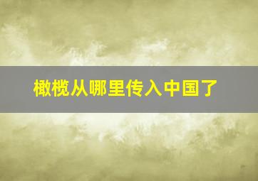 橄榄从哪里传入中国了