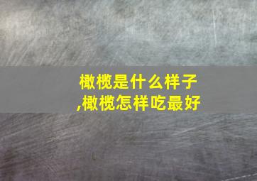 橄榄是什么样子,橄榄怎样吃最好