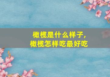 橄榄是什么样子,橄榄怎样吃最好吃