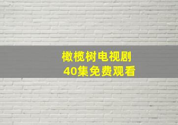 橄榄树电视剧40集免费观看