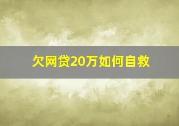 欠网贷20万如何自救