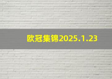 欧冠集锦2025.1.23