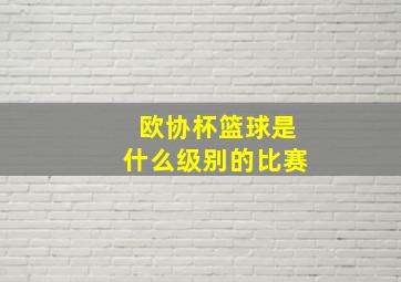 欧协杯篮球是什么级别的比赛