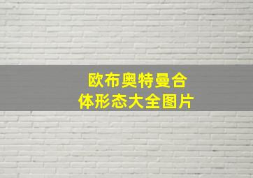 欧布奥特曼合体形态大全图片