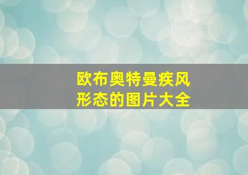 欧布奥特曼疾风形态的图片大全