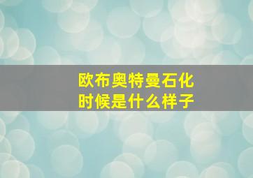 欧布奥特曼石化时候是什么样子