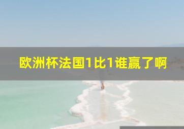 欧洲杯法国1比1谁赢了啊