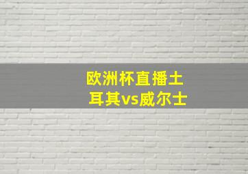 欧洲杯直播土耳其vs威尔士