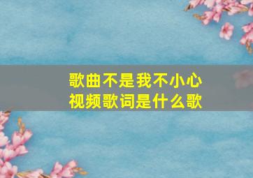 歌曲不是我不小心视频歌词是什么歌