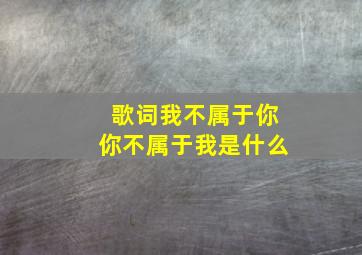 歌词我不属于你你不属于我是什么