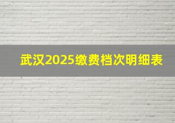 武汉2025缴费档次明细表