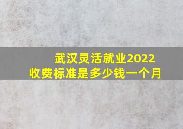 武汉灵活就业2022收费标准是多少钱一个月