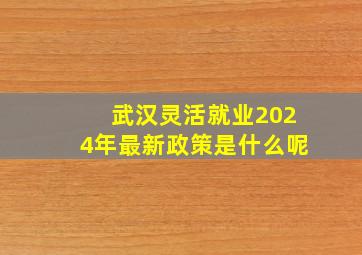 武汉灵活就业2024年最新政策是什么呢