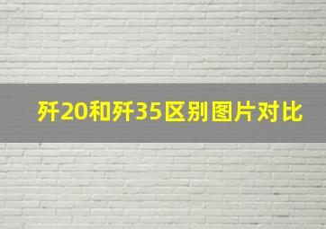 歼20和歼35区别图片对比