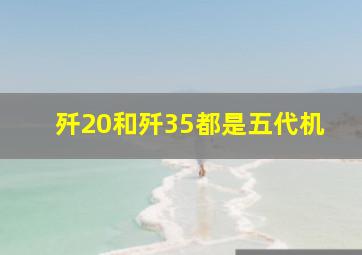 歼20和歼35都是五代机