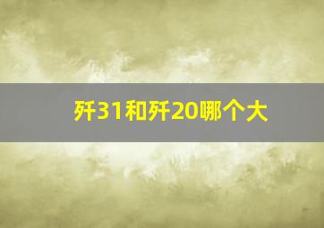 歼31和歼20哪个大