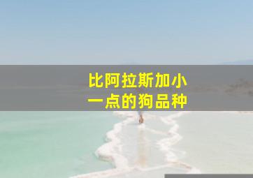 比阿拉斯加小一点的狗品种