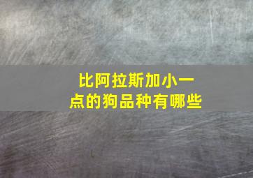 比阿拉斯加小一点的狗品种有哪些