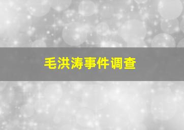 毛洪涛事件调查