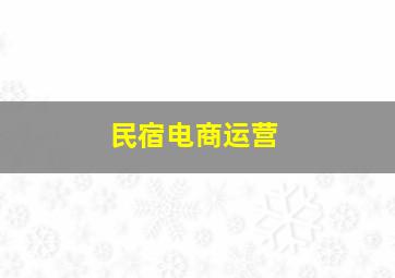 民宿电商运营