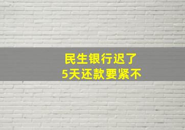 民生银行迟了5天还款要紧不