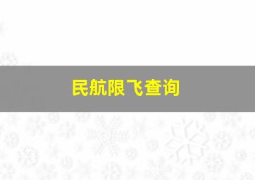 民航限飞查询