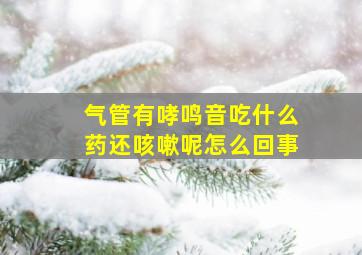 气管有哮鸣音吃什么药还咳嗽呢怎么回事