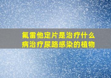 氟雷他定片是治疗什么病治疗尿路感染的植物