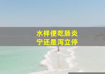 水样便吃肠炎宁还是泻立停