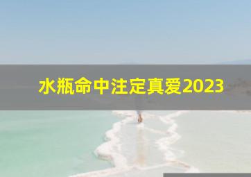 水瓶命中注定真爱2023