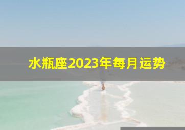 水瓶座2023年每月运势