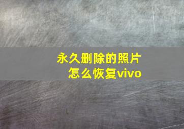 永久删除的照片怎么恢复vivo