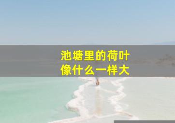 池塘里的荷叶像什么一样大