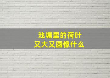 池塘里的荷叶又大又圆像什么