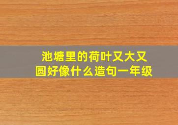 池塘里的荷叶又大又圆好像什么造句一年级