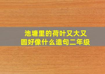 池塘里的荷叶又大又圆好像什么造句二年级