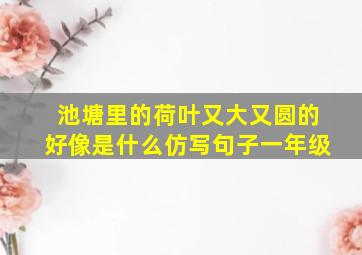 池塘里的荷叶又大又圆的好像是什么仿写句子一年级