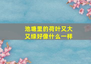 池塘里的荷叶又大又绿好像什么一样