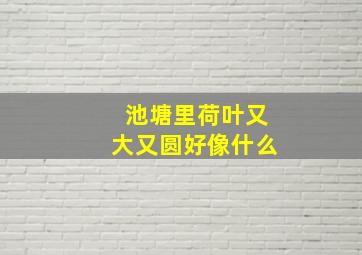 池塘里荷叶又大又圆好像什么