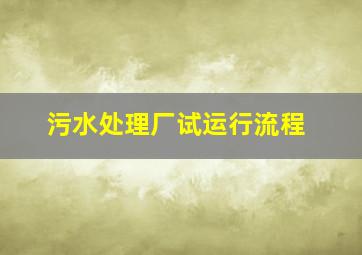 污水处理厂试运行流程