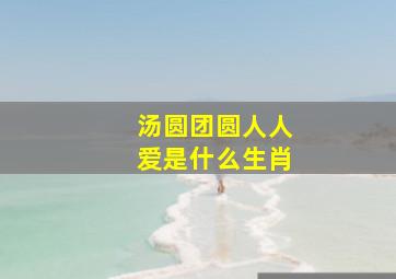 汤圆团圆人人爱是什么生肖