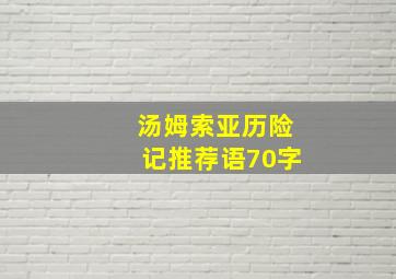 汤姆索亚历险记推荐语70字