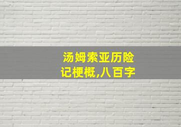 汤姆索亚历险记梗概,八百字