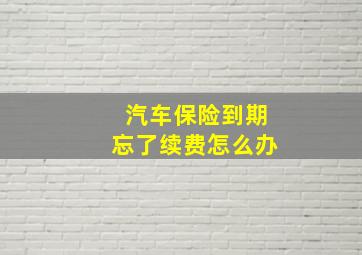 汽车保险到期忘了续费怎么办