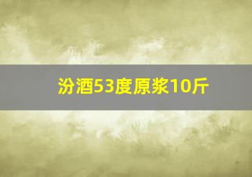 汾酒53度原浆10斤