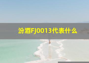 汾酒FJ0013代表什么