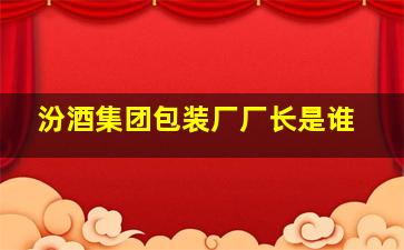 汾酒集团包装厂厂长是谁