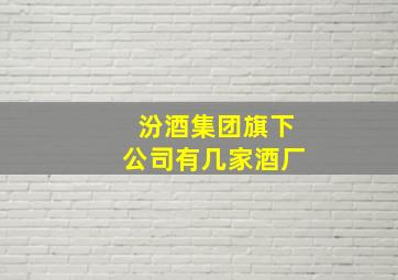 汾酒集团旗下公司有几家酒厂