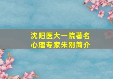 沈阳医大一院著名心理专家朱刚简介